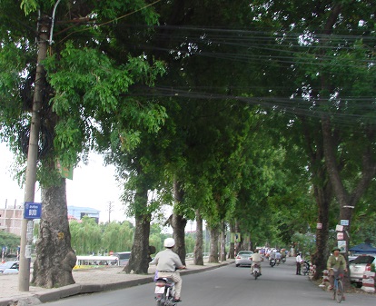 cua hang thuc pham bo duong nutri vn tren pho buoi