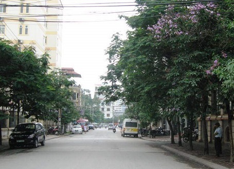 Cua hang nutri.vn ban yen sao nhan sam nam linh chi tren pho nguyen pham tuan 2