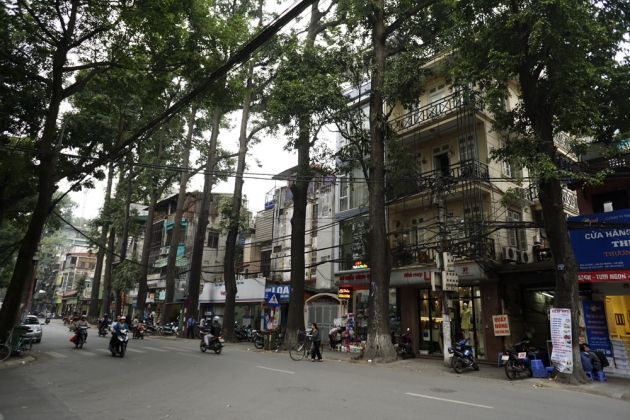 cua hang nutri chuyen yen sao nhan sam cao cap gan pho lo duc